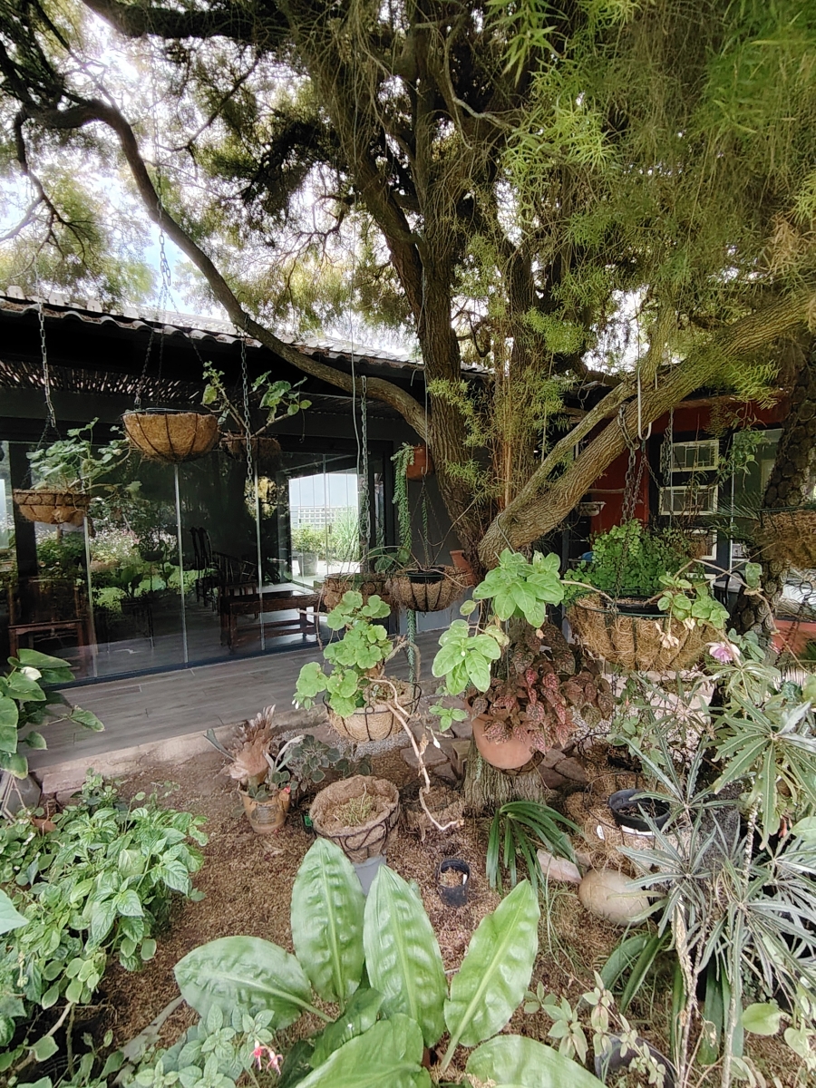 3 Bedroom Property for Sale in Lower Robberg Western Cape